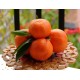 10 Kg di Mandarini Clementine