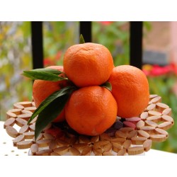 10 Kg di Mandarini Clementine