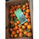 Mandarini Clementine, maxi (17 kg)